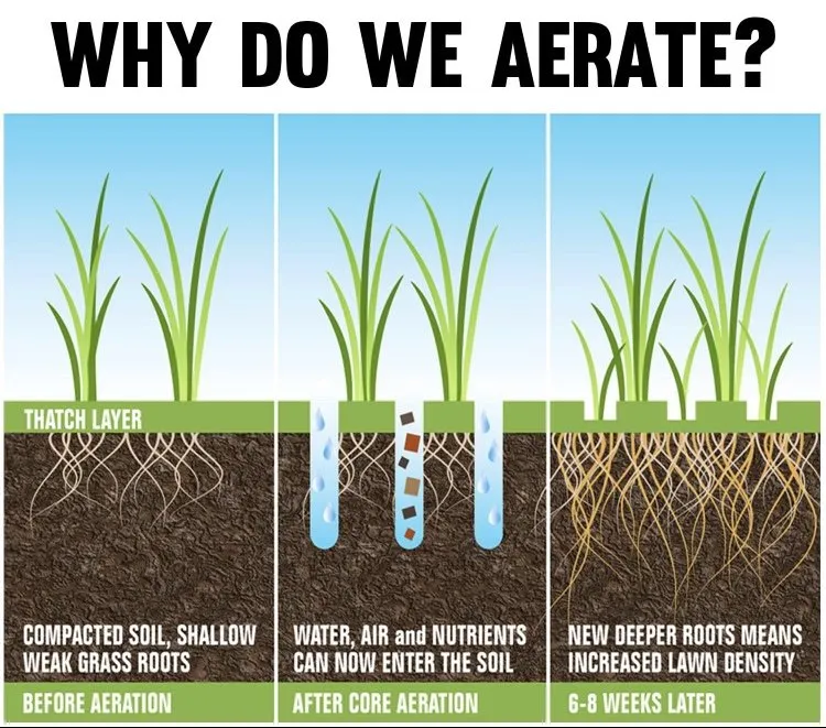 Affordable garden landscaping in Inwood, IA by Apex Lawn Service