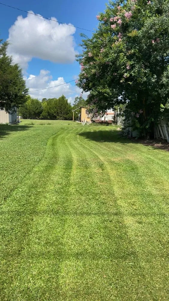 Professional outdoor landscaping for year-round maintenance across Moultrie, GA - Apex Lawn Solutions