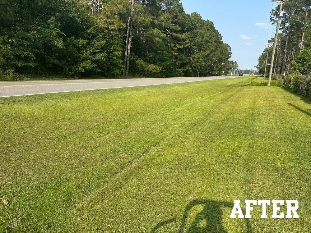 Top-rated lawn care service for year-round maintenance across Moultrie, GA - Apex Lawn Solutions