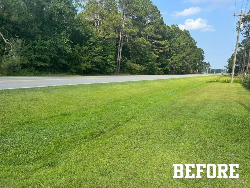 Affordable landscape design for outdoor upgrades in Moultrie, GA by Apex Lawn Solutions