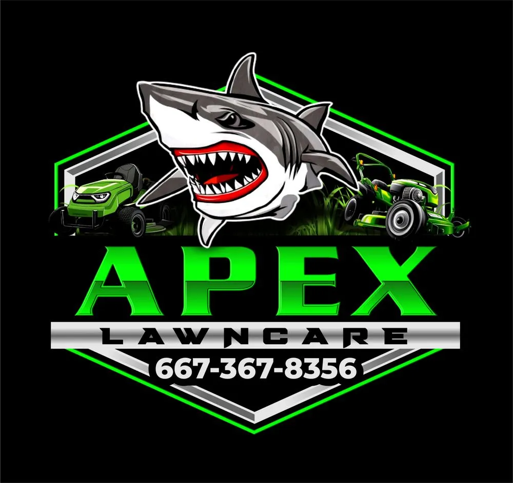 Reliable outdoor landscaping for beautiful yards in Baltimore, MD by Apex Lawncare