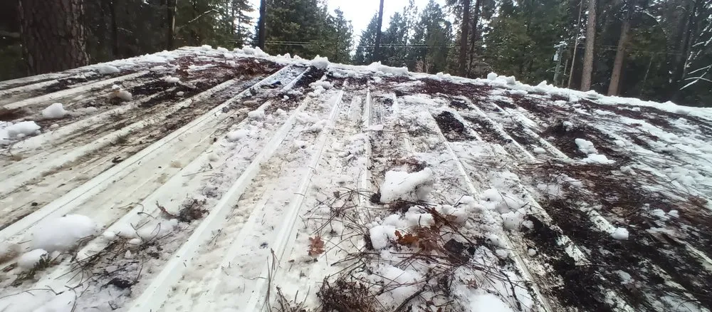 Trusted yard maintenance for beautiful yards across Paradise, CA - Apex Lawncare