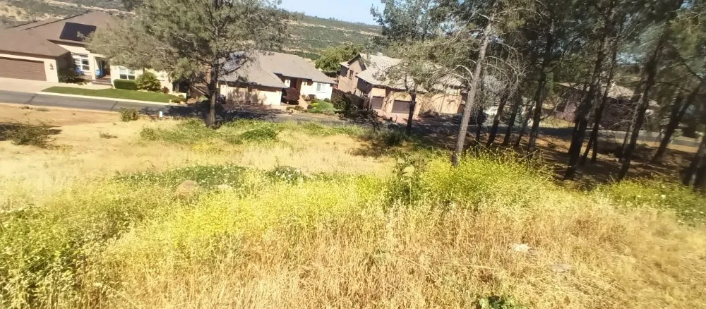 Trusted lawn mowing service for homes in Paradise, CA by Apex Lawncare