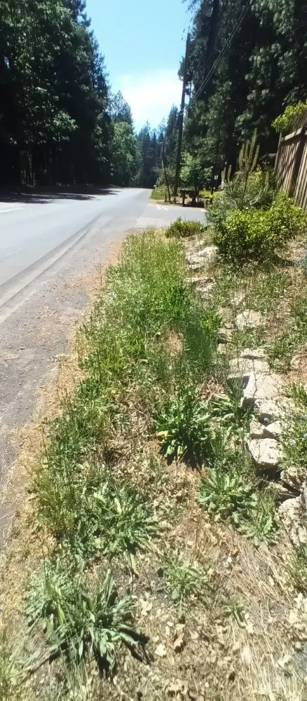 Expert garden landscaping for homes in Paradise, CA by Apex Lawncare