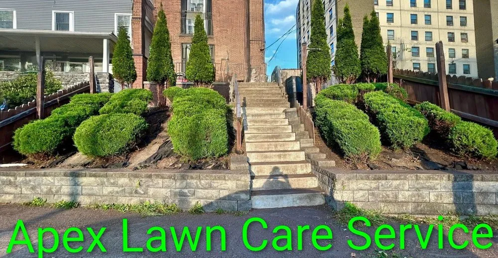 Trusted landscaping services in Ambridge, PA - Apex Lawncare Service