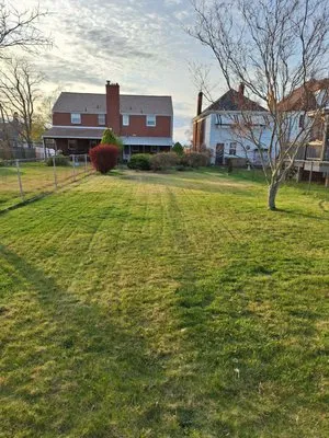 Apex Lawncare Service