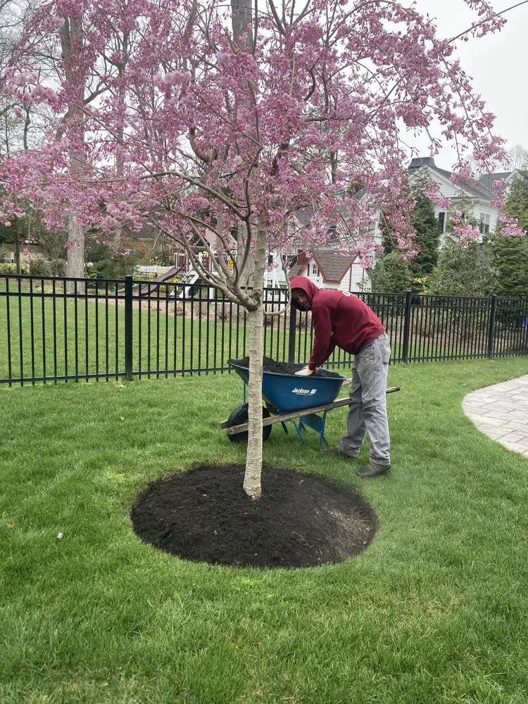 Affordable landscaping services near you across Haddonfield, NJ - Apex Lawnco