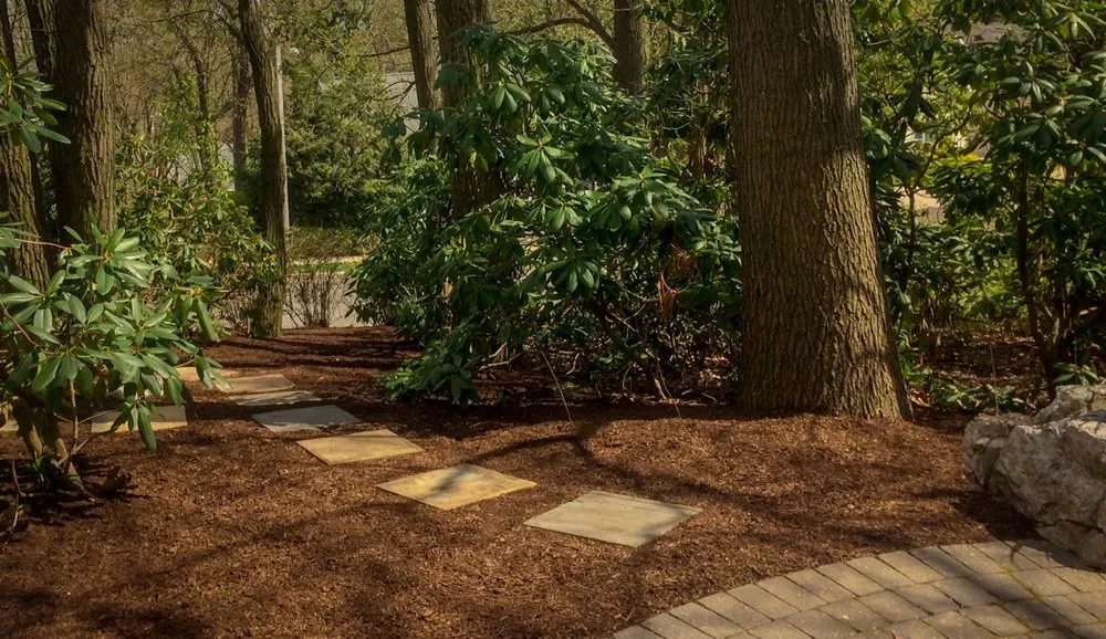 Trusted yard cleanup service for homes in Haddonfield, NJ by Apex Lawnco
