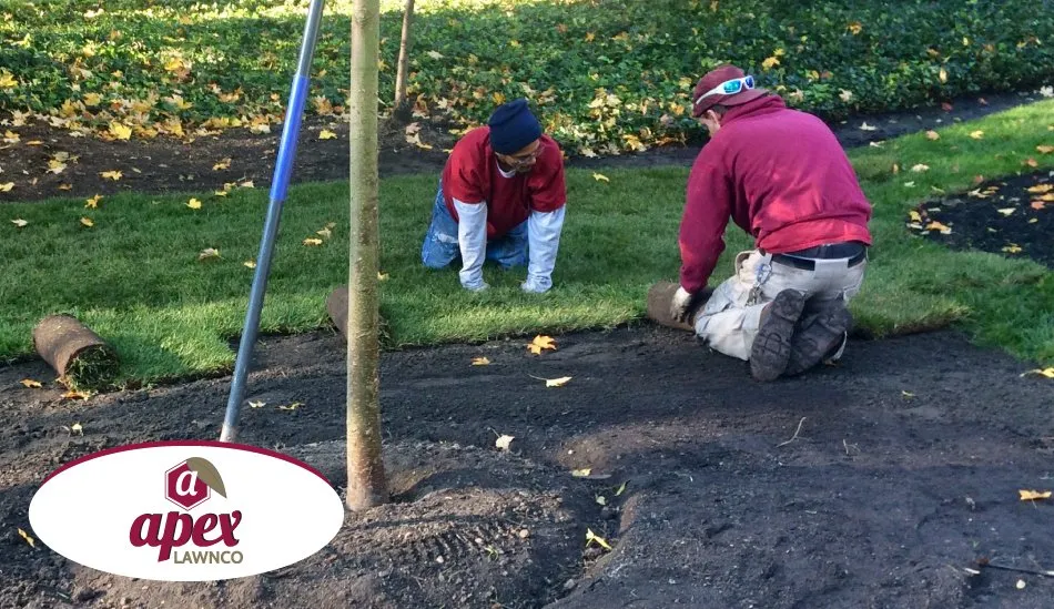 Trusted residential landscaping for outdoor upgrades across Haddonfield, NJ - Apex Lawnco