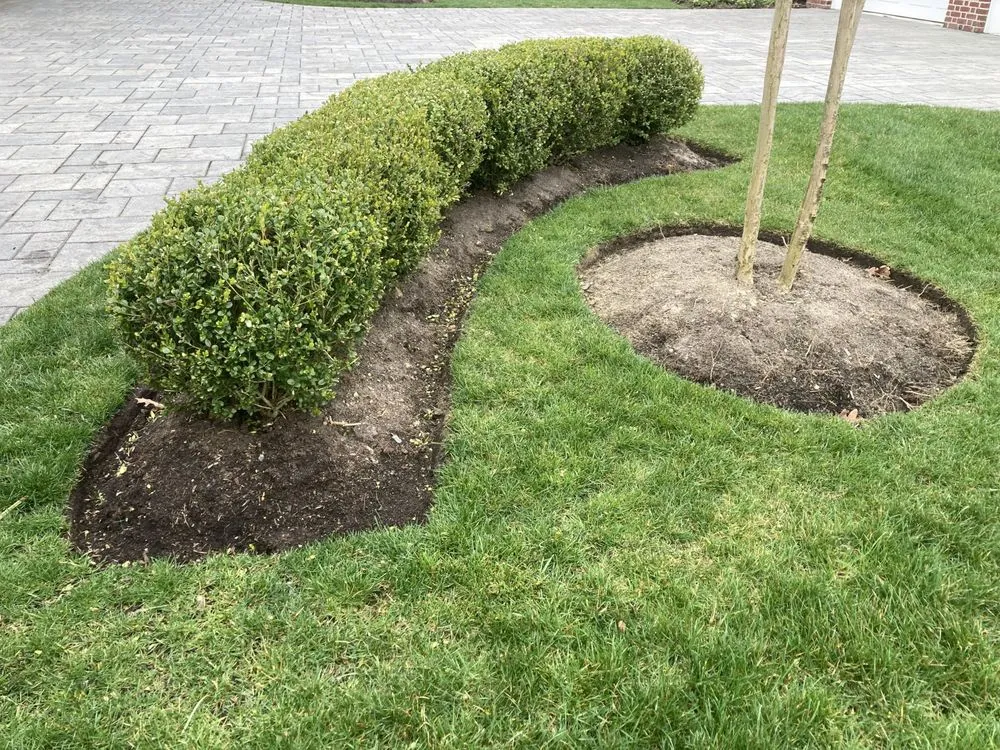 Professional lawn care service for year-round maintenance across Haddonfield, NJ - Apex Lawnco