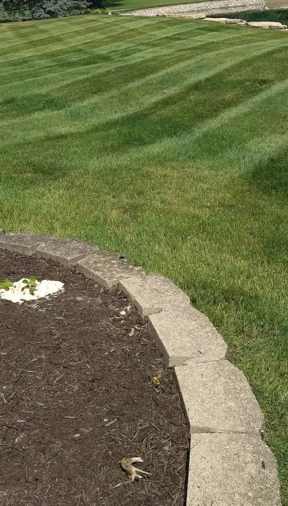 Trusted yard cleanup service in Fort Wayne, IN by Apex Market