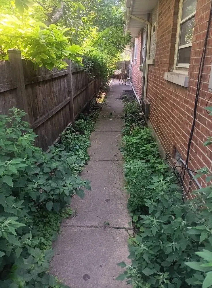 Professional landscaping services experts serving Fort Wayne, IN - Apex Market