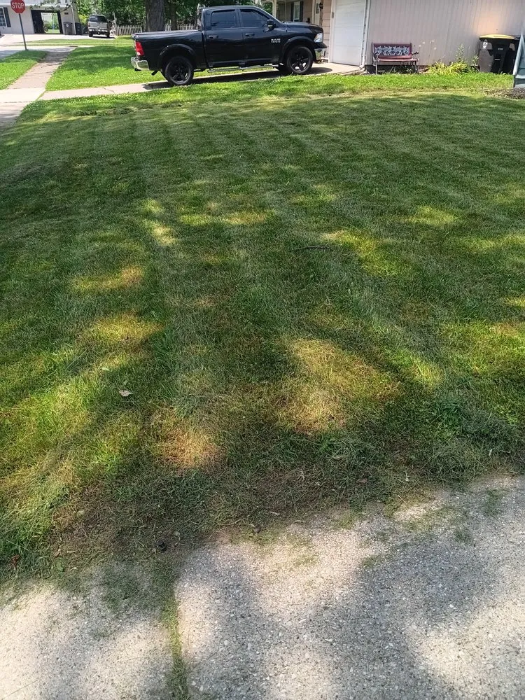 Reliable yard maintenance in Fort Wayne, IN - Apex Market