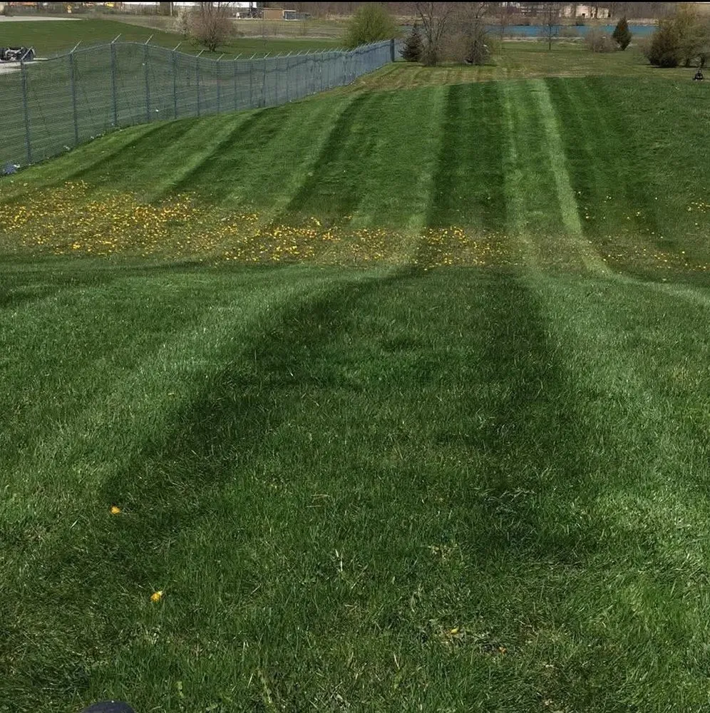 Reliable lawn mowing service in Fort Wayne, IN - Apex Market