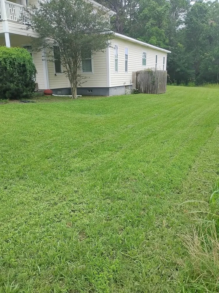 Affordable lawn care service in Fort Wayne, IN by Apex Market