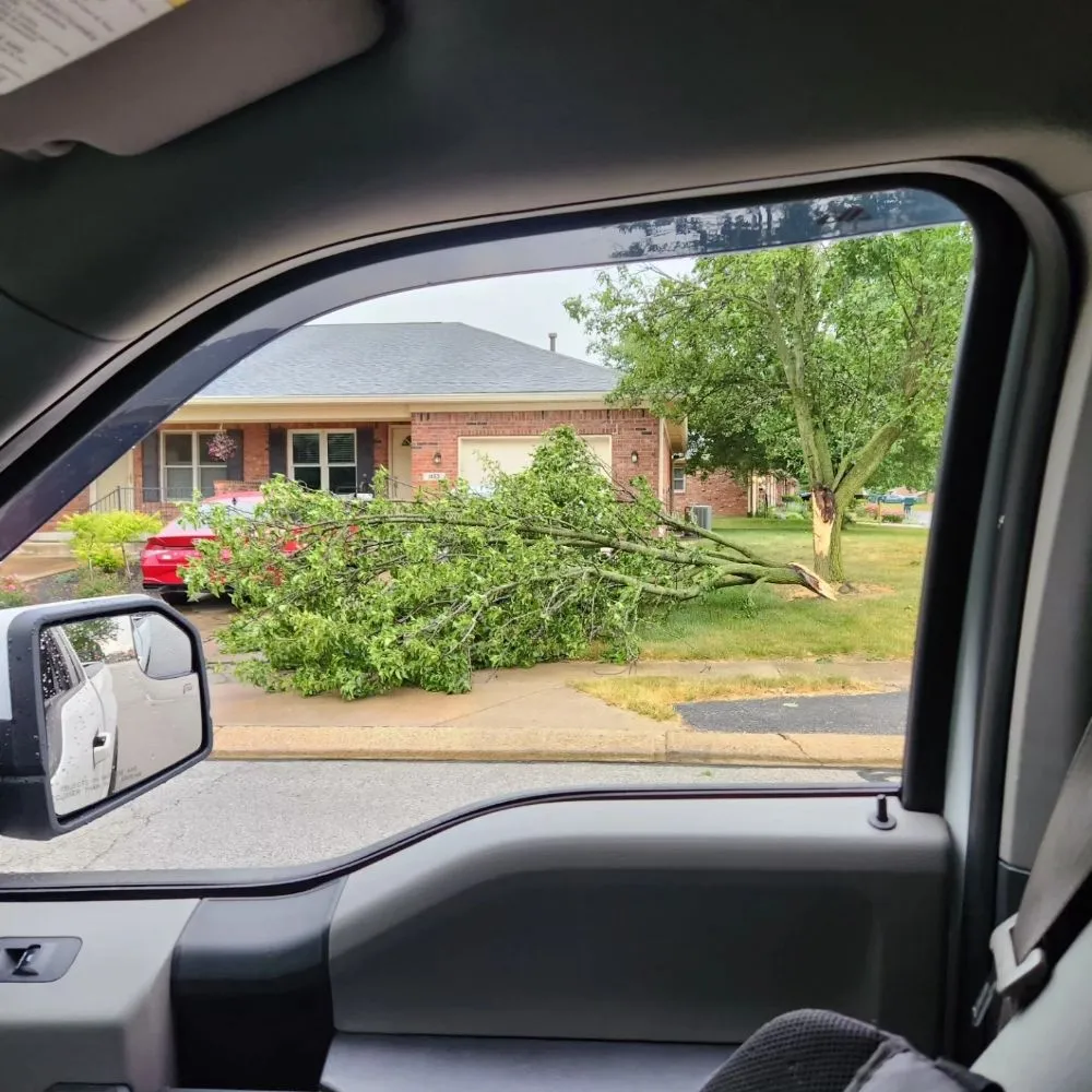 Affordable landscape design for residential properties across Avon, IN - Apex Outdoor Contractors