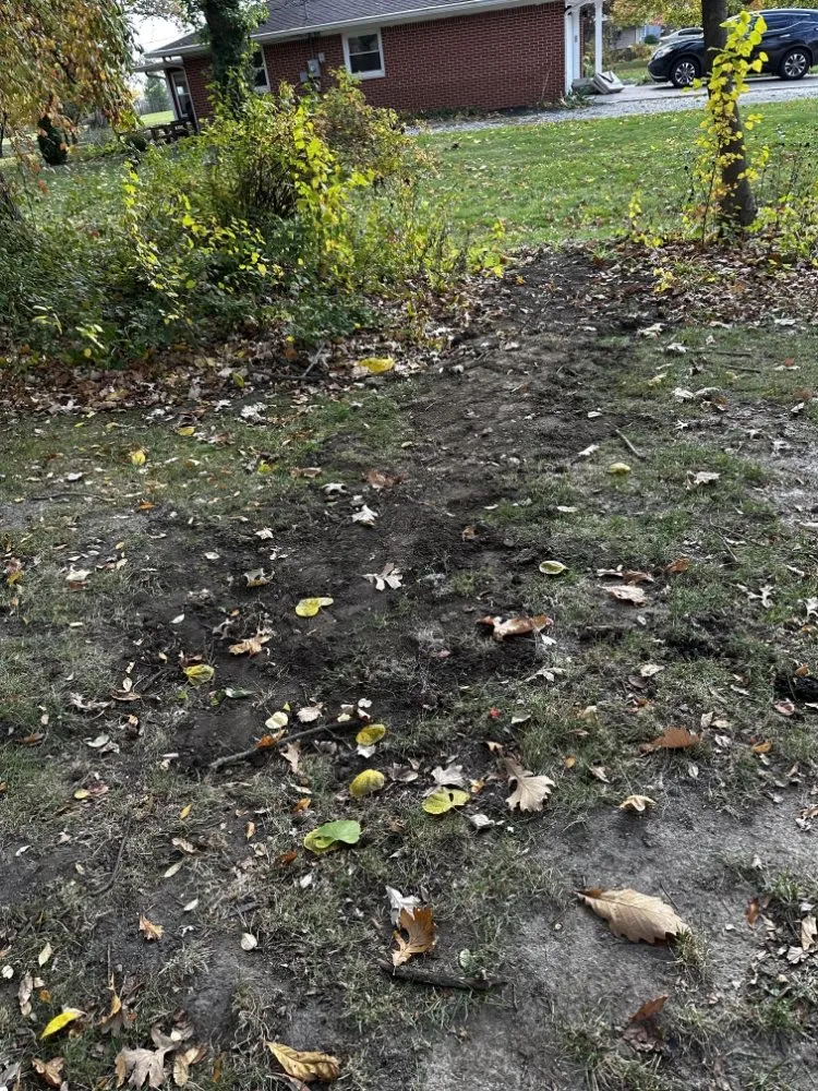 Expert yard cleanup service in Avon, IN - Apex Outdoor Contractors