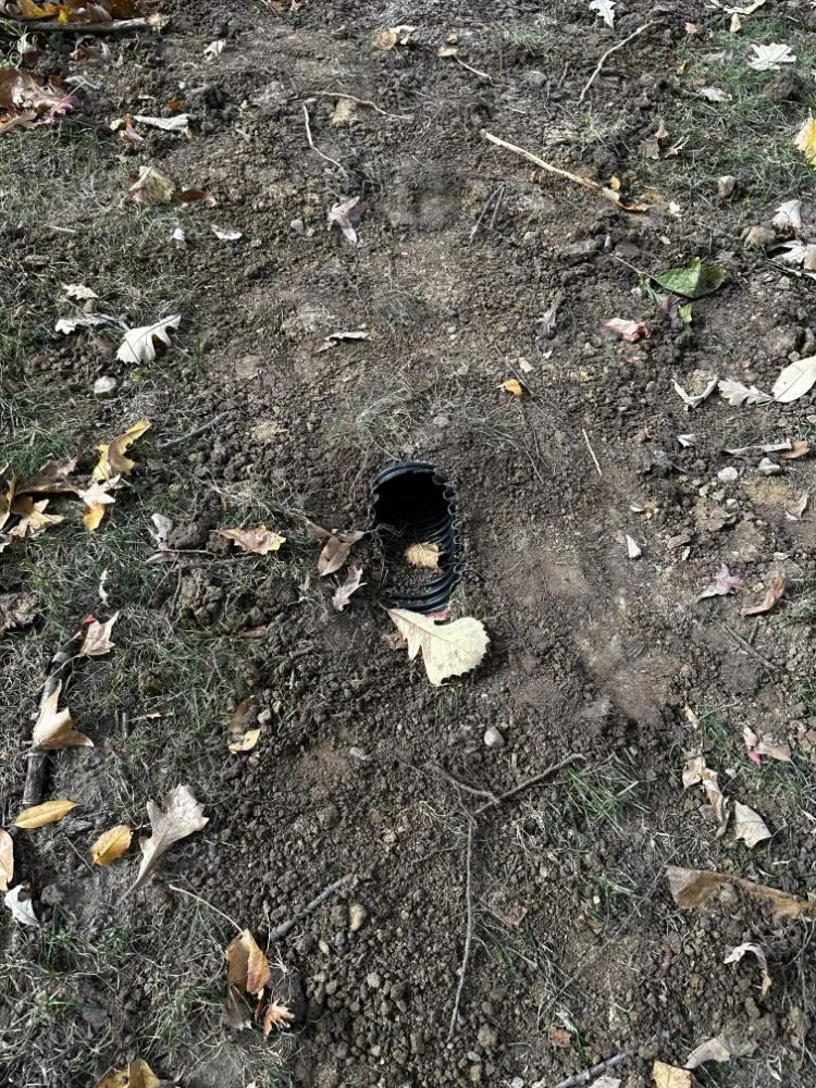 Professional landscaping services near you across Avon, IN - Apex Outdoor Contractors