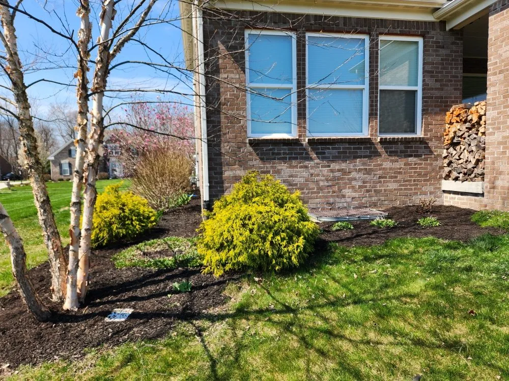 Expert residential landscaping in Avon, IN by Apex Outdoor Contractors