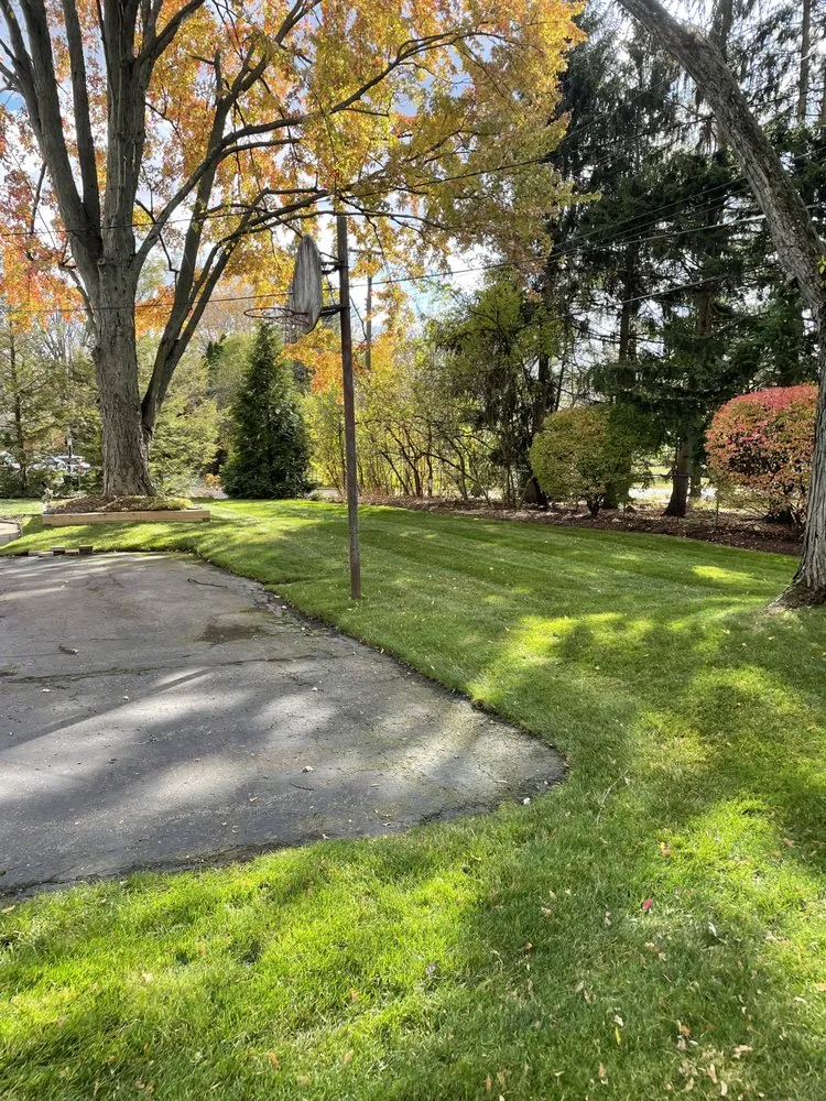 Local lawn care service for year-round maintenance in Ferndale, MI by Apex Outdoor Services