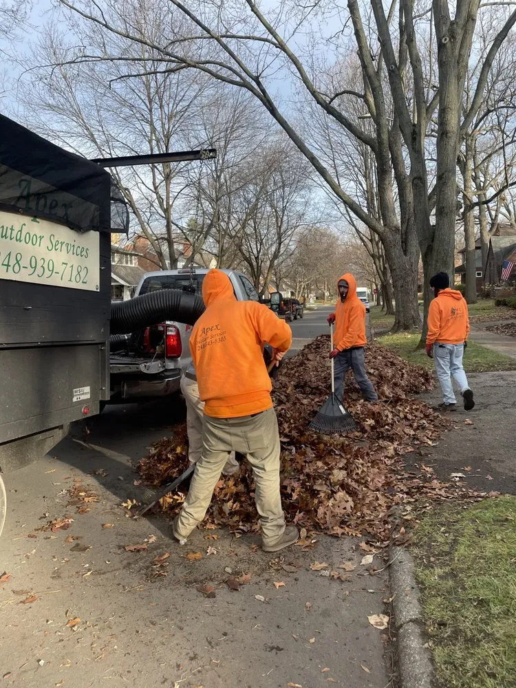 Professional outdoor landscaping experts serving Ferndale, MI - Apex Outdoor Services