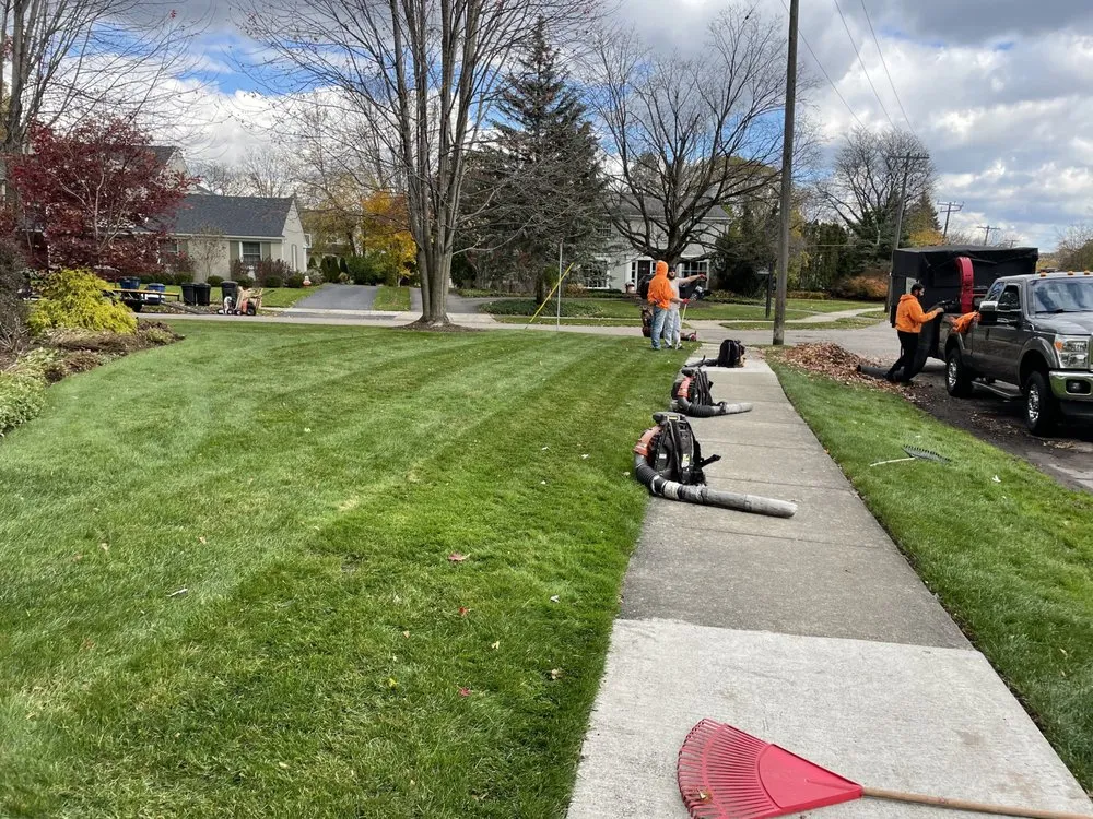 Expert yard cleanup service in Ferndale, MI - Apex Outdoor Services