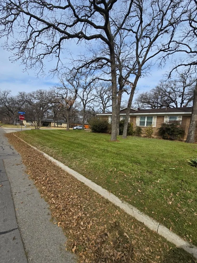 Local landscape design in Keller, TX by Apex Outdoor Solutions