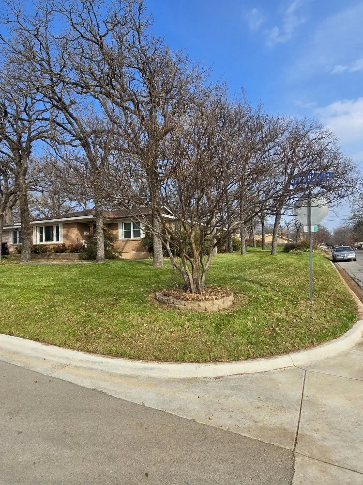 Expert landscaping services for residential properties in Keller, TX by Apex Outdoor Solutions