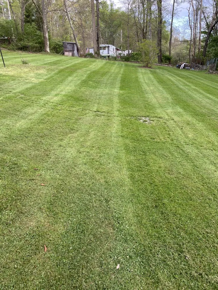 Top-rated yard maintenance for homes in Pleasantville, PA by Apex Outdoor Solutions