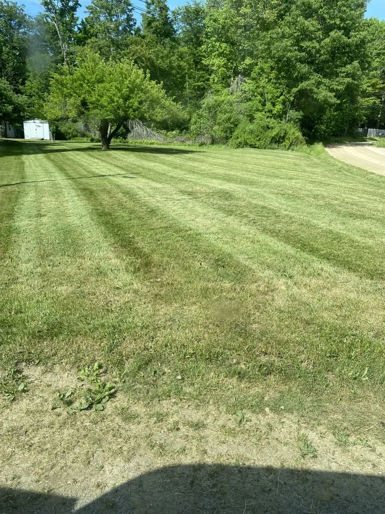 Reliable residential landscaping near you in Pleasantville, PA by Apex Outdoor Solutions
