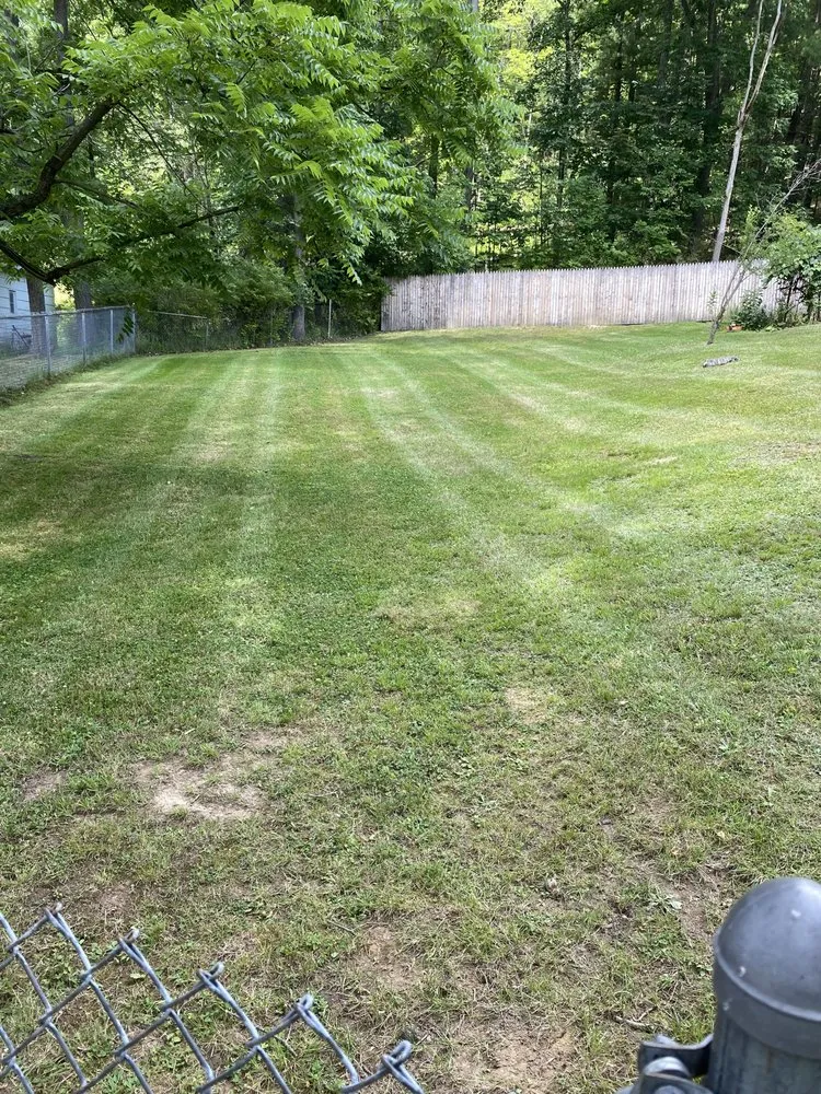 Custom lawn care service in Pleasantville, PA by Apex Outdoor Solutions