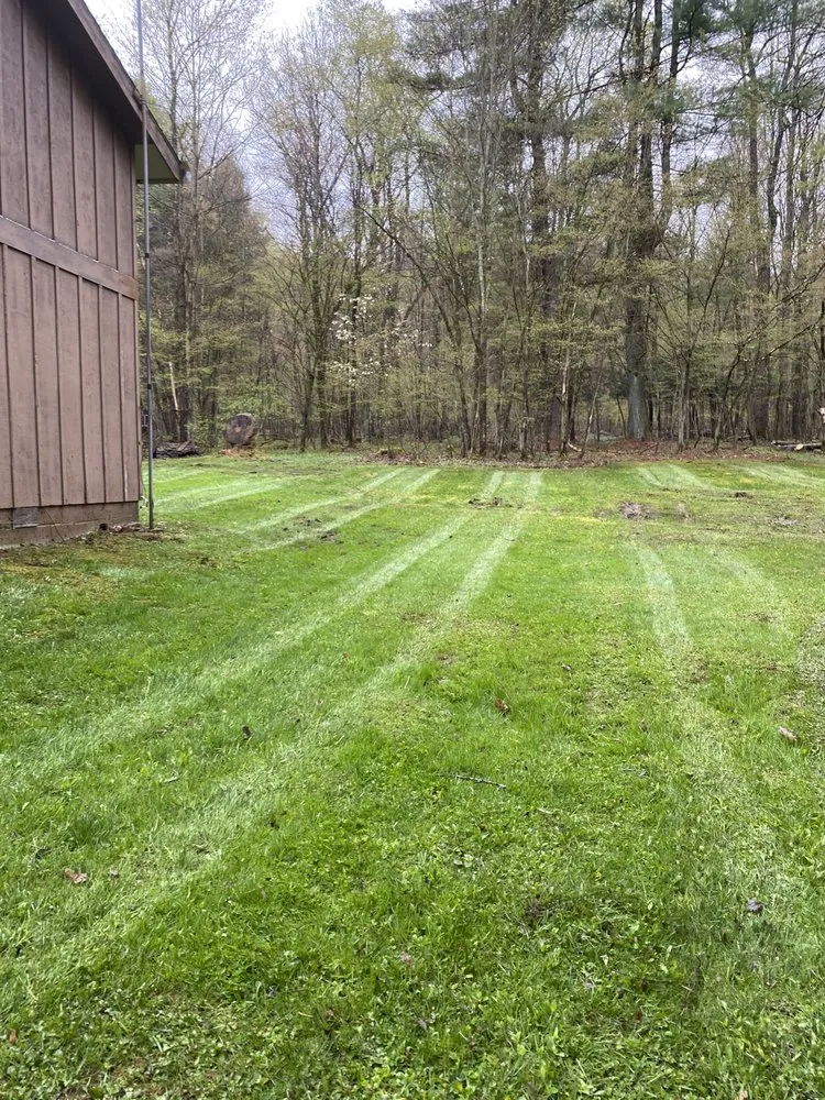 Affordable landscape design for year-round maintenance across Pleasantville, PA - Apex Outdoor Solutions