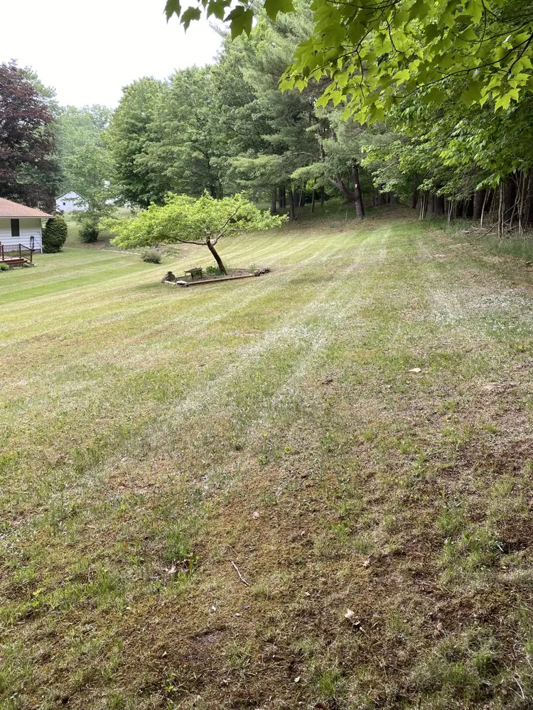 Affordable landscape design in Pleasantville, PA - Apex Outdoor Solutions