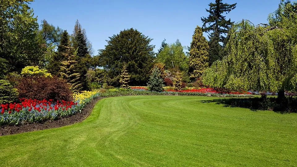 Trusted outdoor landscaping in Portage, MI by Apex Outdoor Solutions