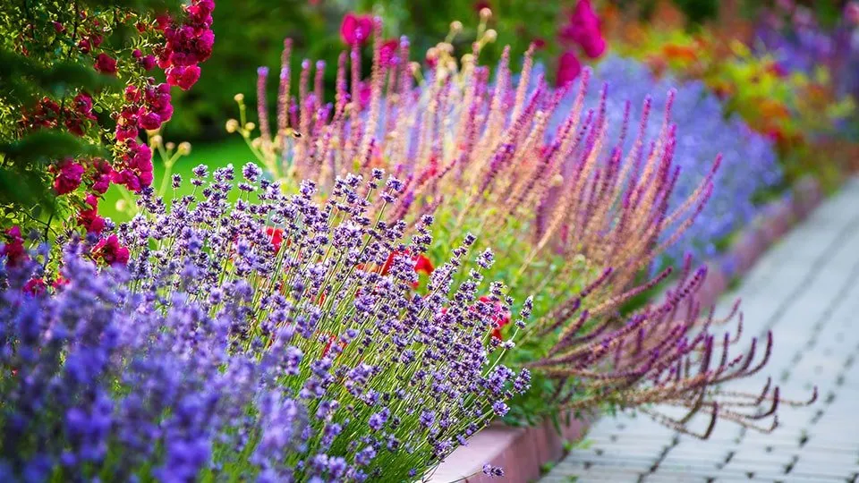 Affordable residential landscaping for beautiful yards across Portage, MI - Apex Outdoor Solutions