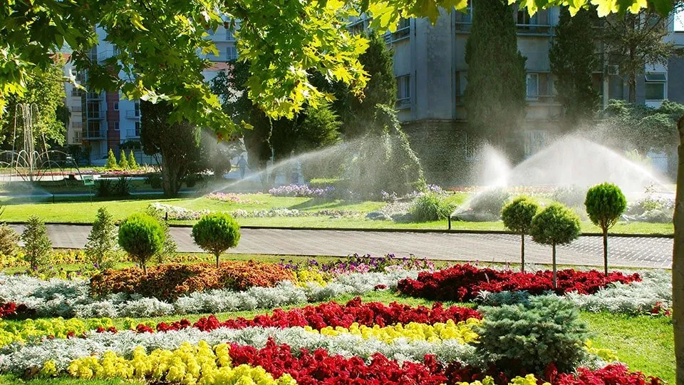 Reliable yard maintenance in Portage, MI by Apex Outdoor Solutions