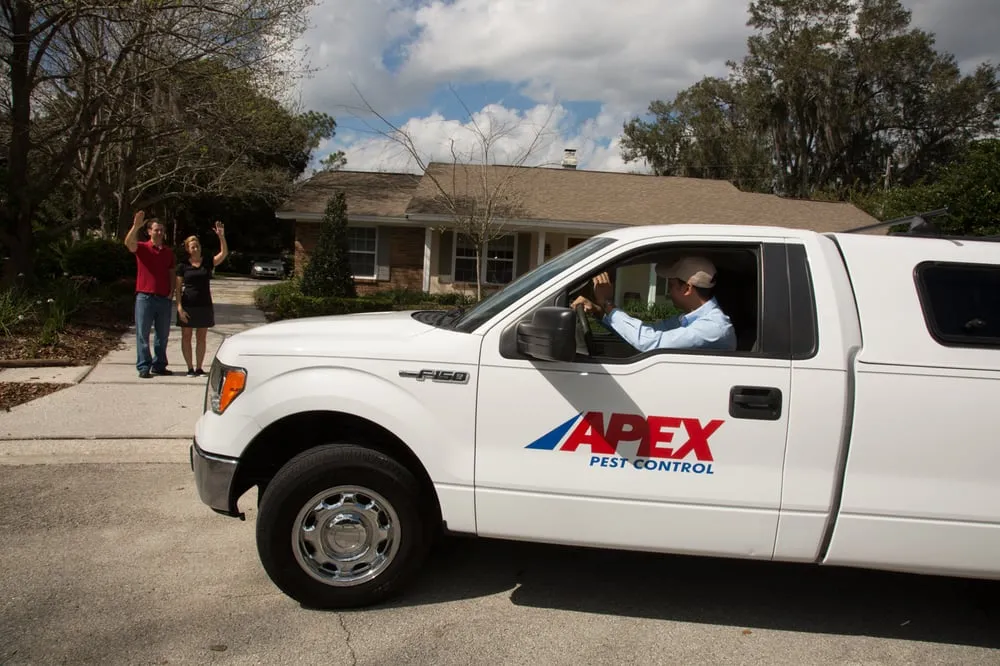 Professional yard cleanup service in Orlando, FL - Apex Pest Control