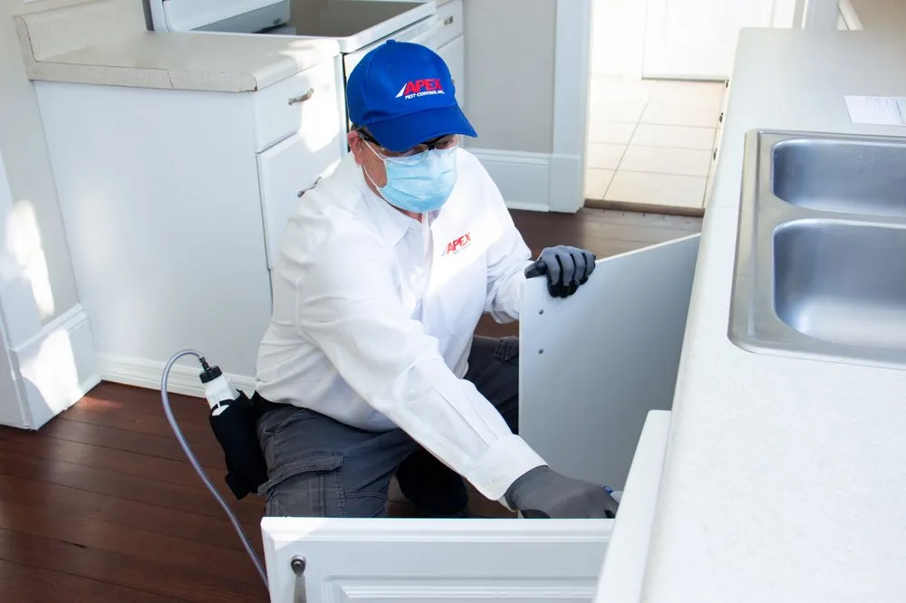 Custom landscape installation experts serving Orlando, FL - Apex Pest Control