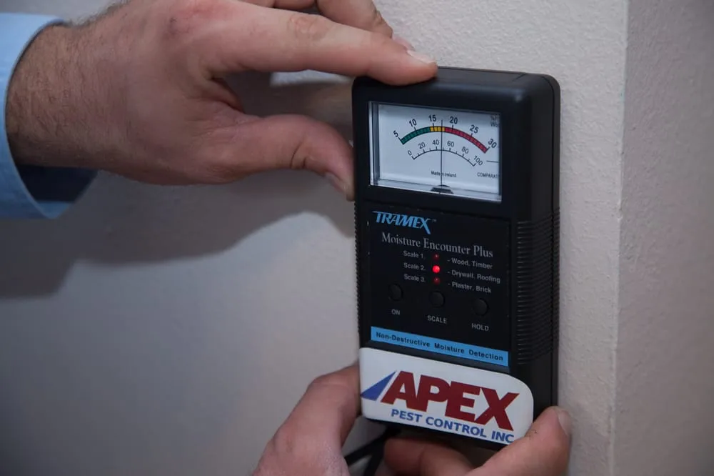 Professional yard cleanup service in Orlando, FL - Apex Pest Control