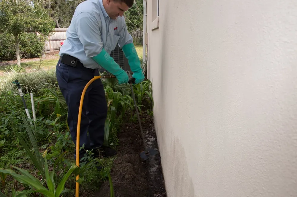 Affordable lawn mowing service in Orlando, FL by Apex Pest Control