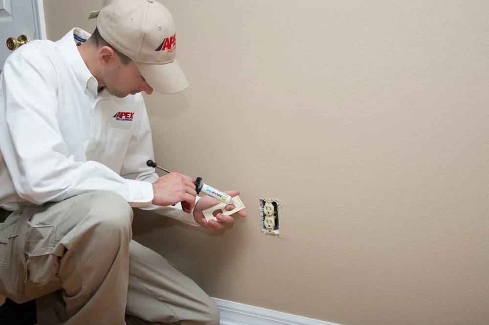 Reliable yard cleanup service in Orlando, FL by Apex Pest Control