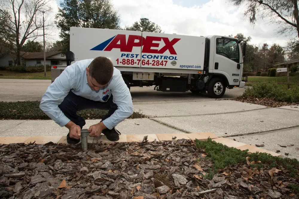 Custom landscape design experts serving Orlando, FL - Apex Pest Control