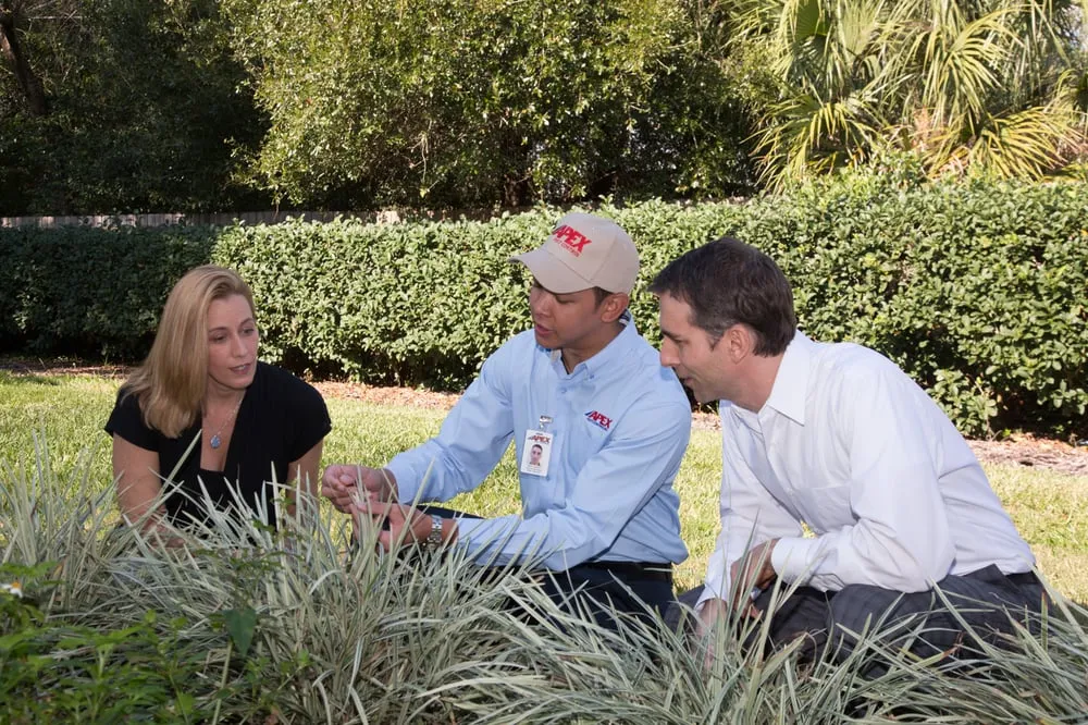 Trusted yard cleanup service experts serving Rockledge, FL - Apex Pest Control