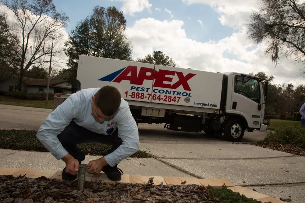 Expert yard maintenance with custom design in Rockledge, FL by Apex Pest Control