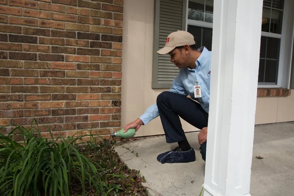 Professional outdoor landscaping experts serving Rockledge, FL - Apex Pest Control