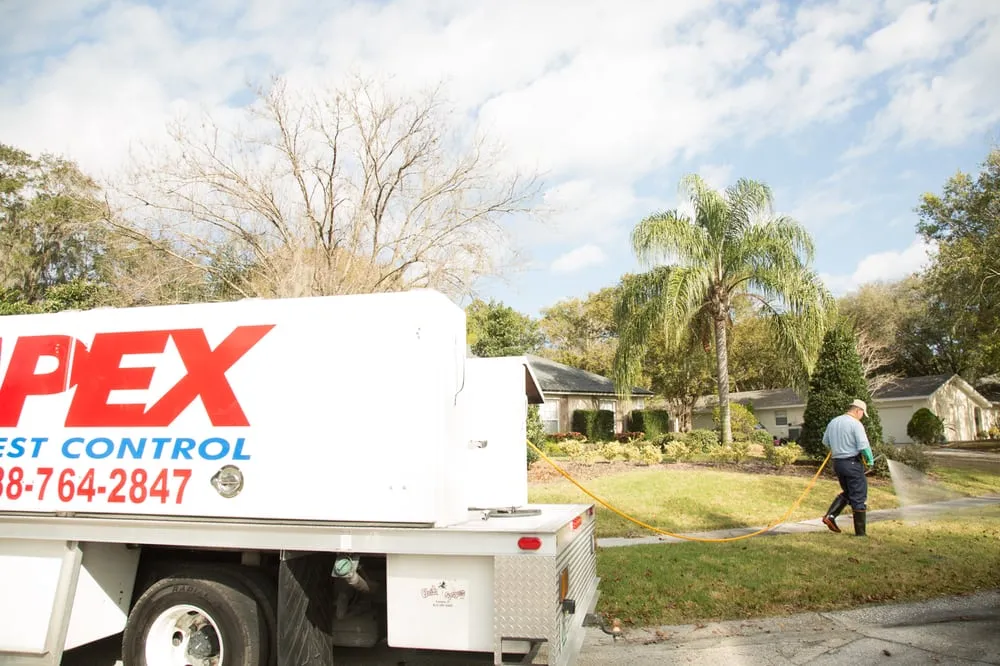 Expert residential landscaping near you in Rockledge, FL by Apex Pest Control