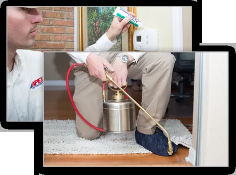 Professional outdoor landscaping in Tampa, FL - Apex Pest Control