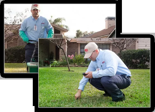 Trusted outdoor landscaping for homes in Tampa, FL by Apex Pest Control