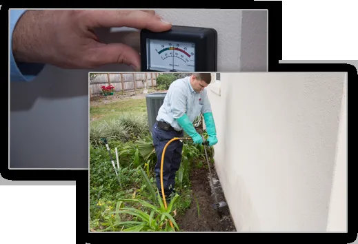 Professional landscape design for beautiful yards across Tampa, FL - Apex Pest Control