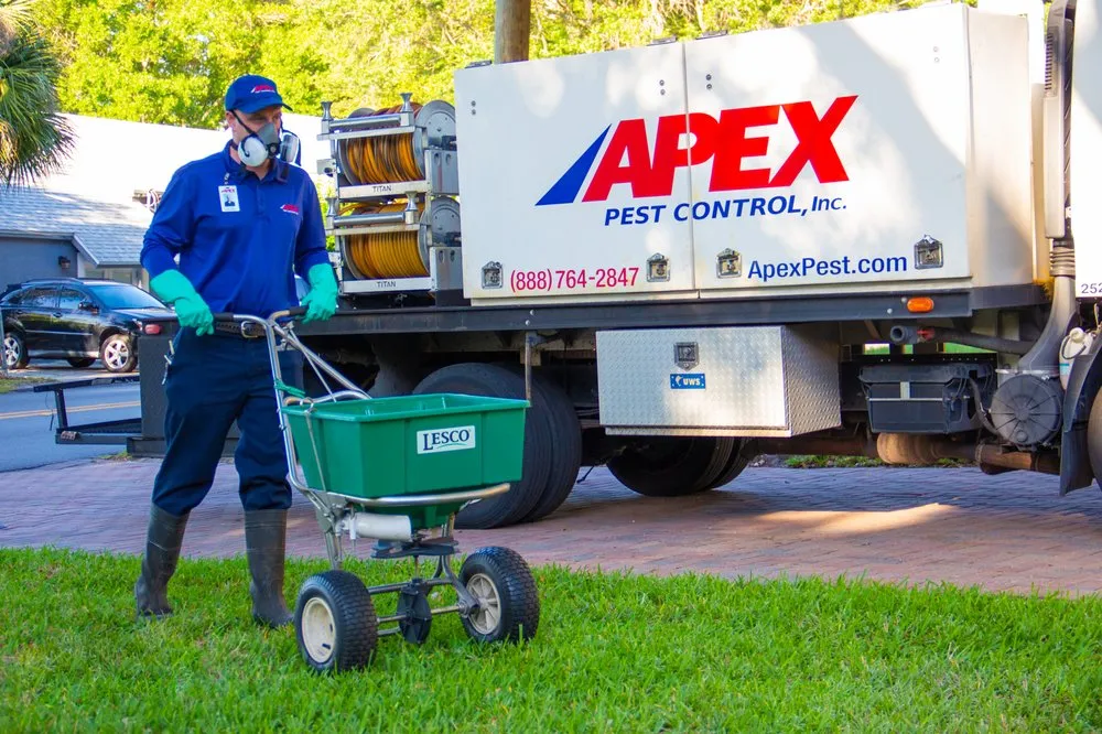 Affordable yard cleanup service in Tampa, FL - Apex Pest Control